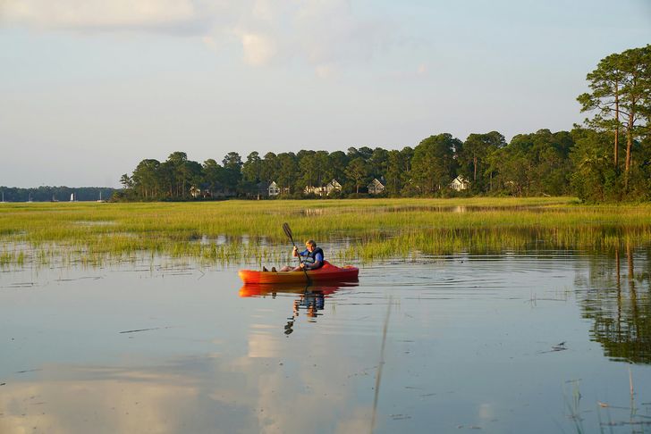 Hilton Head Kayak & Coffee Tour - Image 5