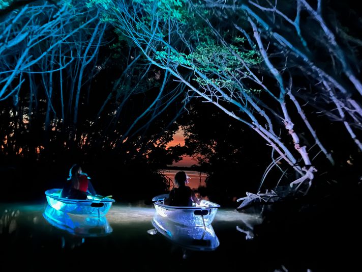 Shell Key Preserve Clear Kayak Glow Tour - Image 9