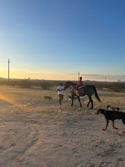 Kids Pony Ride in Joshua Tree