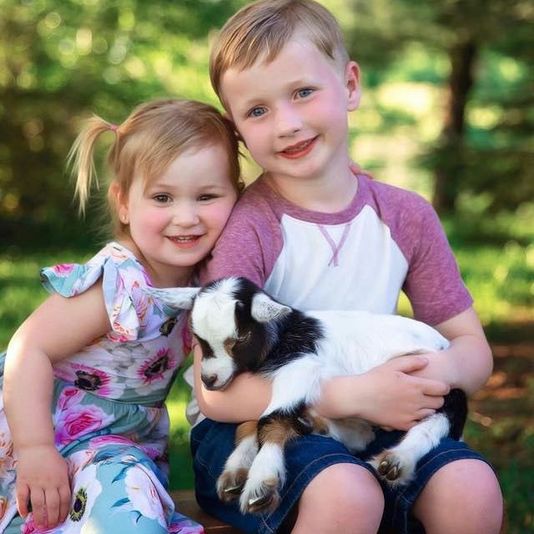 Baby Goat Snuggle Session