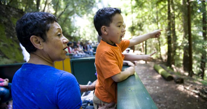 Redwood Forest Steam Train Ride - Image 3