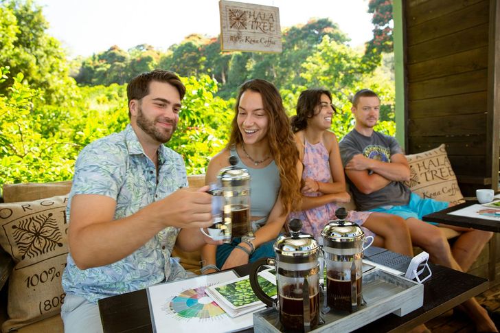Private Kona Coffee Farm Tour For Up To 4 - Image 4
