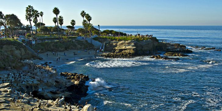 La Jolla Mystery Picnic Date for Two - Image 3