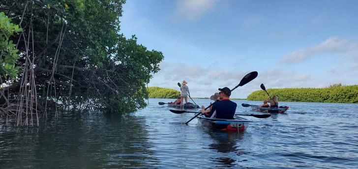 Shell Key Preserve Clear Kayak Tour - Image 2