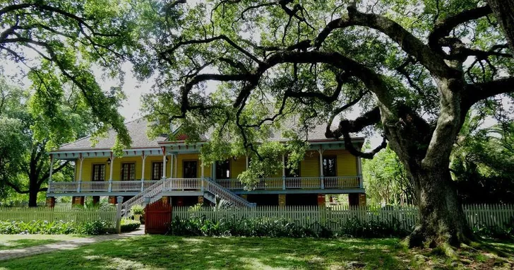 Laura Plantation and Airboat Ride Swamp Tour