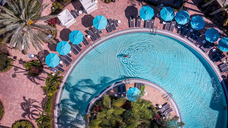 2 Nights in Orlando + Michelin Dining Experience: Savor the Sunshine State - Image 8