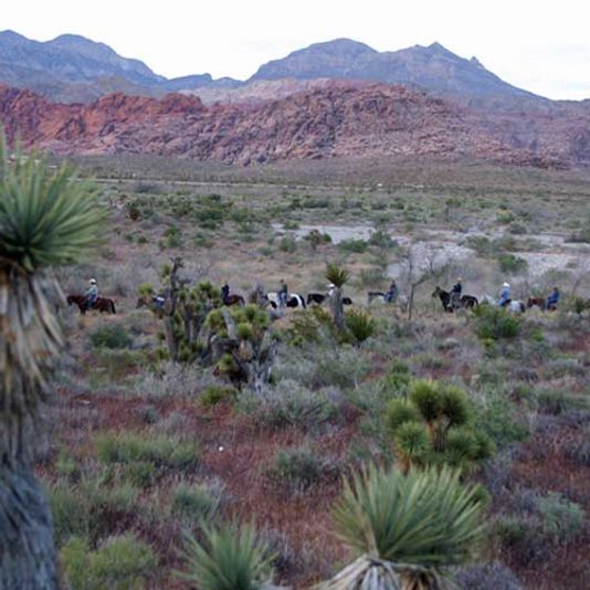 Sunset Horseback Trial Ride & Western BBQ - Image 7