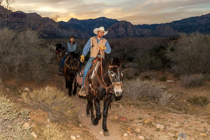 Sunset Horseback Trial Ride & Western BBQ
