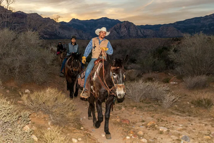 Sunset Horseback Trial Ride and Western BBQ
