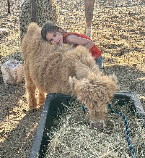 Family Cow Cuddling Experience in Austin - Image 2
