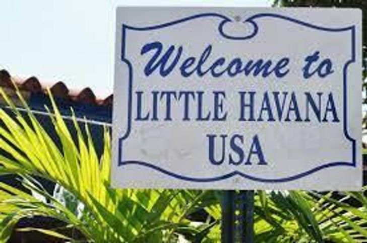 Miami City & Boat Tour Combo plus Bicycle Rental in South Beach - Image 5