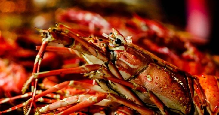 Boston Seafood Lovers Food Tour - Image 5
