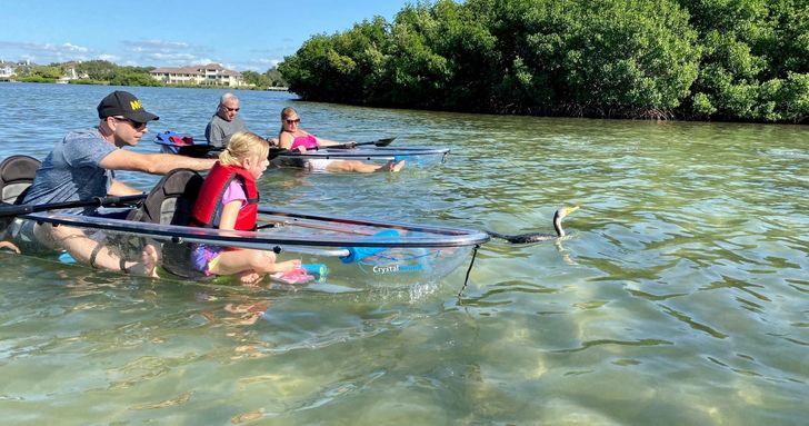 Shell Key Preserve Private Clear Kayak Tour For 2 - Image 9