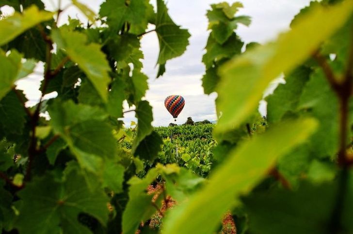 Romantic Private Sunrise Balloon Ride with Champagne Toast - Image 6
