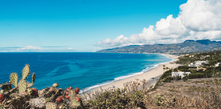 Malibu Family Mystery Picnic