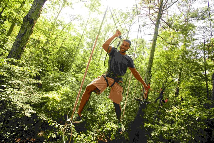 Houston Zipline & Treetop Adventure with Go Ape - Image 2