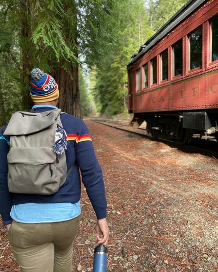 Redwood Hiking Tour & Train Ride with Picnic Lunch - Image 2