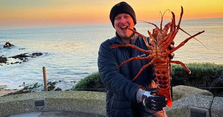 Lobster Hunting After Dark