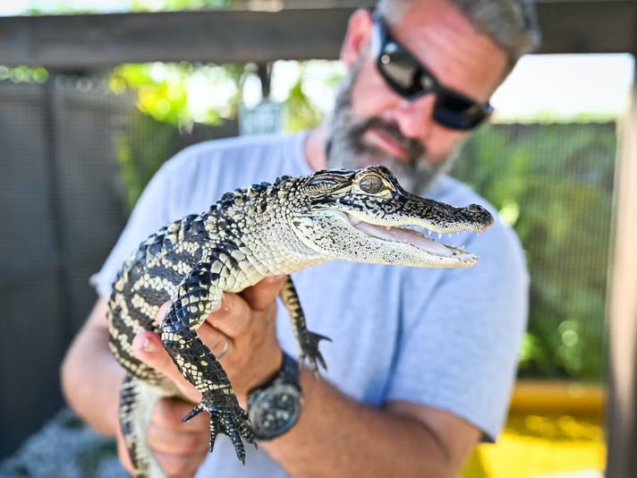 Private Everglades Airboat Tour & Animal Sanctuary Admission - Image 8