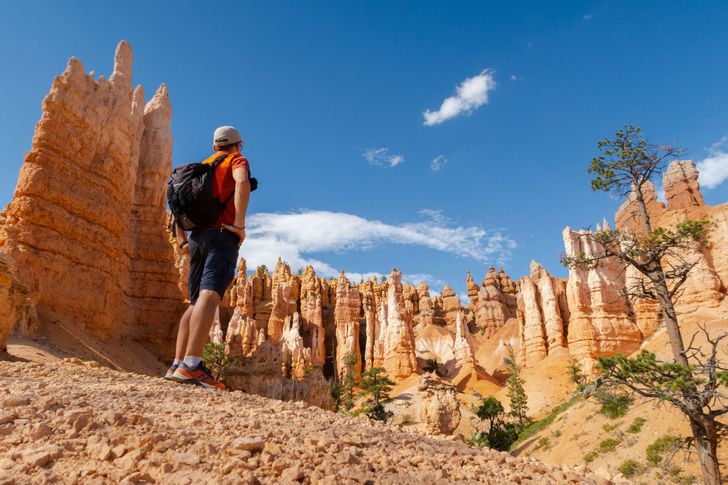 Bryce & Zion National Park Overnight Camping Tour from Las Vegas - Image 7