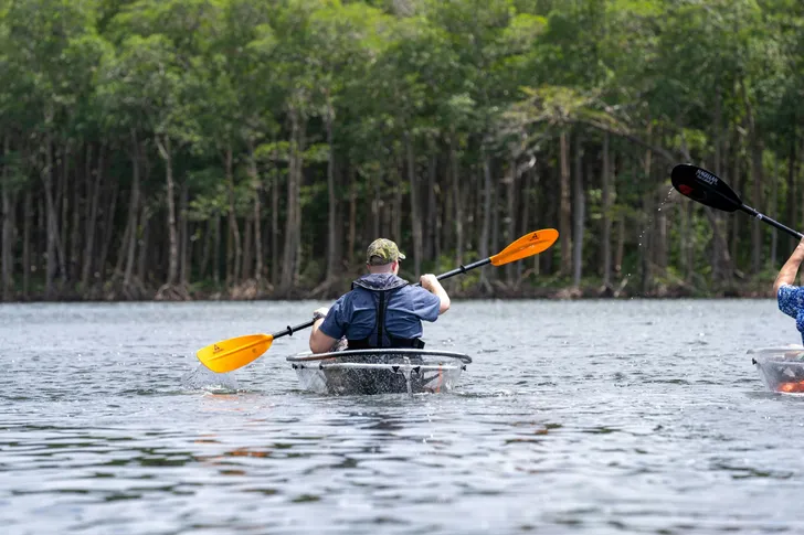 Miami Mangroves Clear Kayak Tour