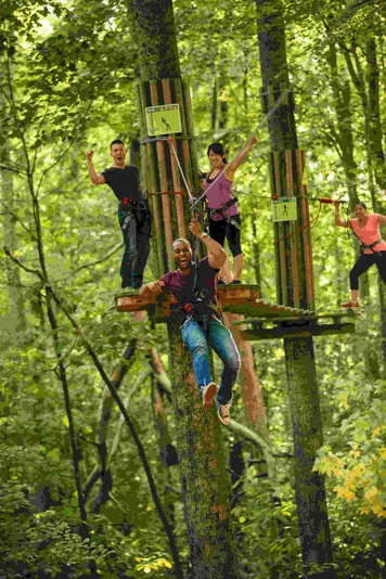 Delaware Zipline and Treetop Adventure with Go Ape