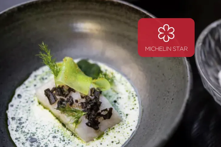 Michelin Star Dining Experience in Chicago