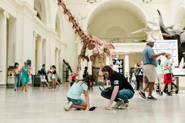 Go City Chicago Explorer Pass - 3 Attractions - Image 3