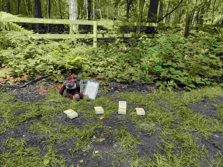 Chicago Forest Escape Game with Go Ape - Image 5