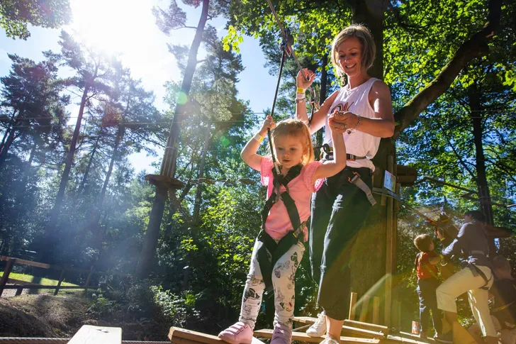 Chicago Kids Treetop Journey with Go Ape