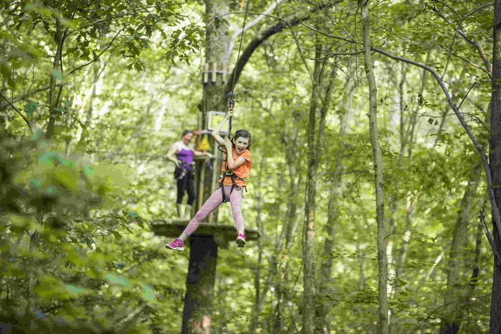 Springfield Kids Treetop Journey with Go Ape - Image 5