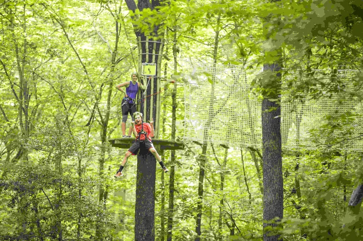 Springfield Zipline and Treetop Adventure with Go Ape