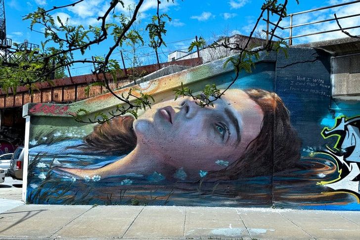 Chicago Fulton Market Graffiti & Murals Street Art Tour