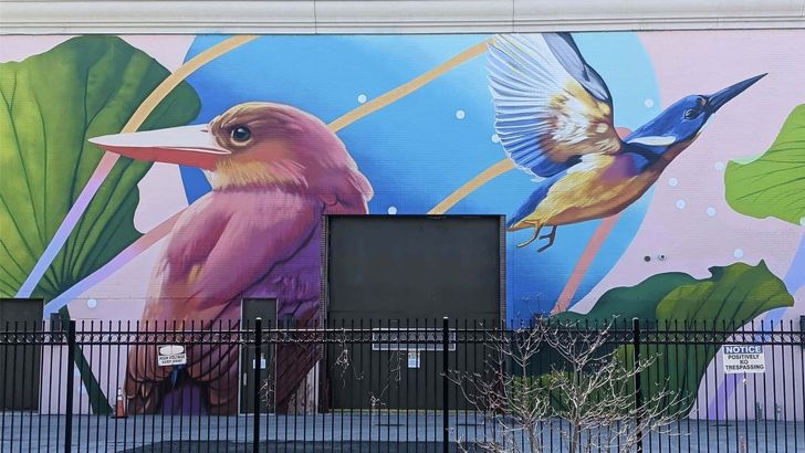 Washington DC Mural Tour of NoMa & Union Market - Image 5