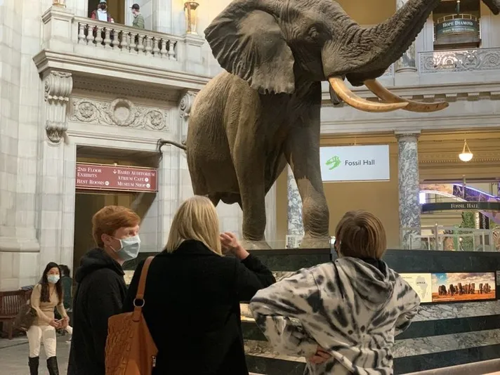 Private Tour of Museum of Natural History for Families