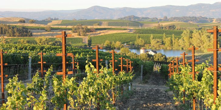 Downtown Napa Family Mystery Picnic