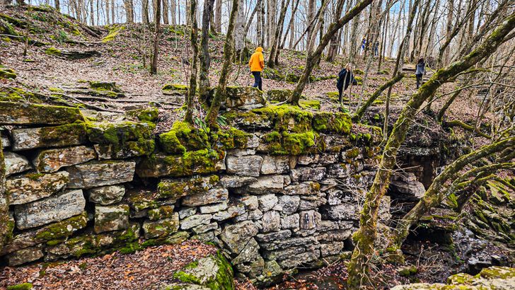 Ancient Archaeology, Waterfalls and Wine Tour with Lunch - Image 9