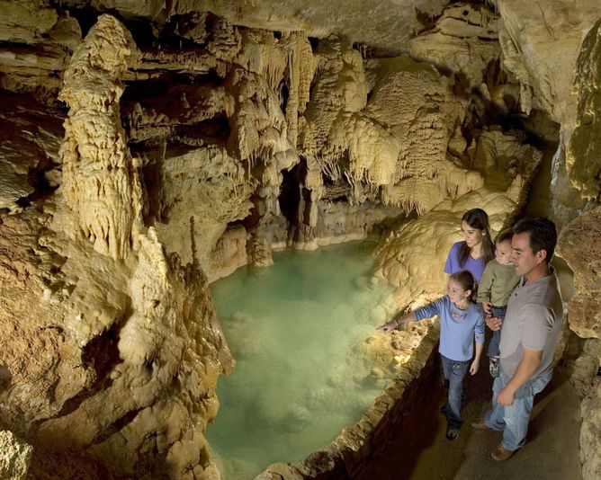 Go City San Antonio Explorer Pass - 4 Attractions - Image 6