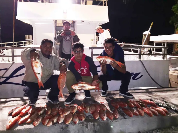 BYOB Night Snapper Fishing Trip