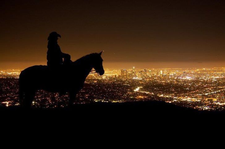 Evening Hollywood Horseback Riding Tour For 2 - Image 4