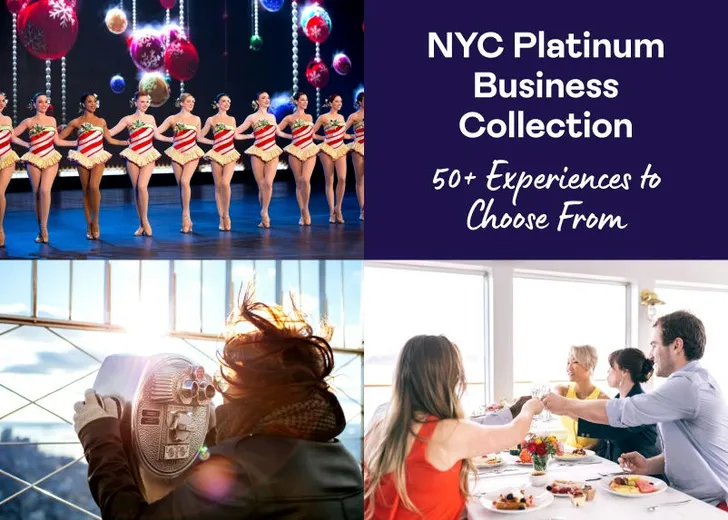 New York City Platinum Business Collection
