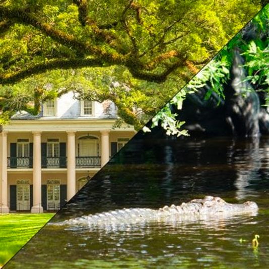 Oak Alley Plantation + Covered Boat Swamp Tour - Image 2