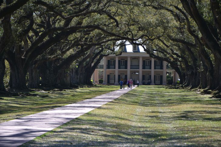 Oak Alley Plantation + Small Airboat Swamp Tour - Image 2
