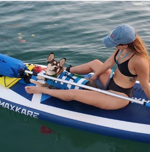Paws & Paddle Board Rental on Biscayne Bay - Image 4