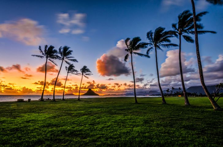 Go City Oahu All-Inclusive Pass - 3 Days - Image 3