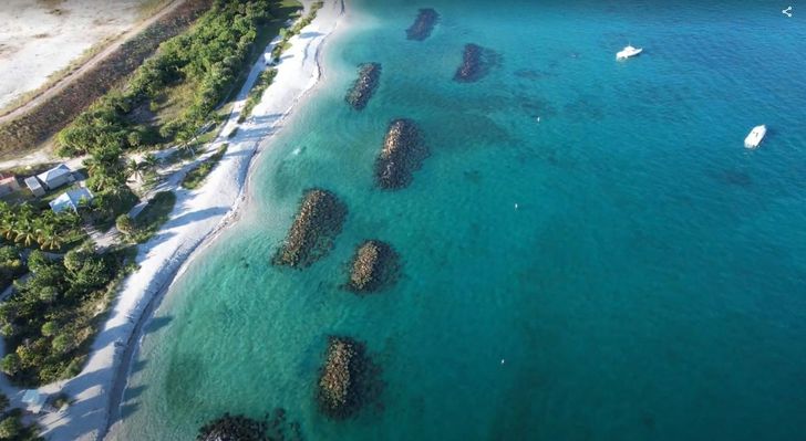 Private Peanut Island Boat & Snorkel Tour - Image 5