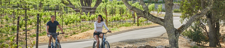 Wine Tasting & Guided E-Bike Vineyard Tour