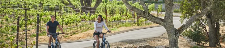 Wine Tasting and Guided E-Bike Vineyard Tour
