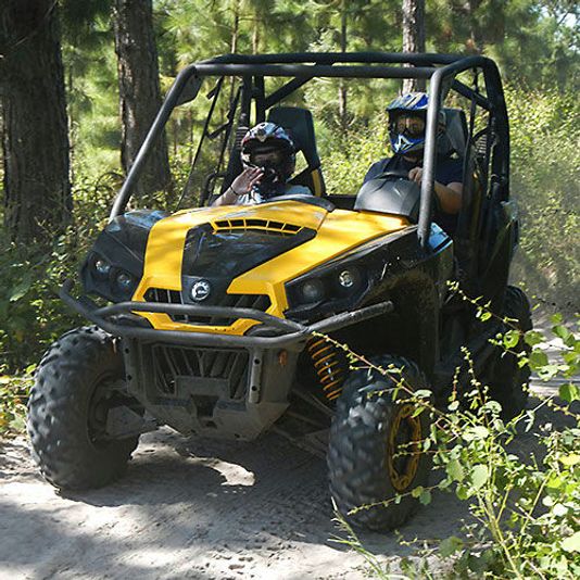Guided Buggy Adventure in Clermont - Image 6