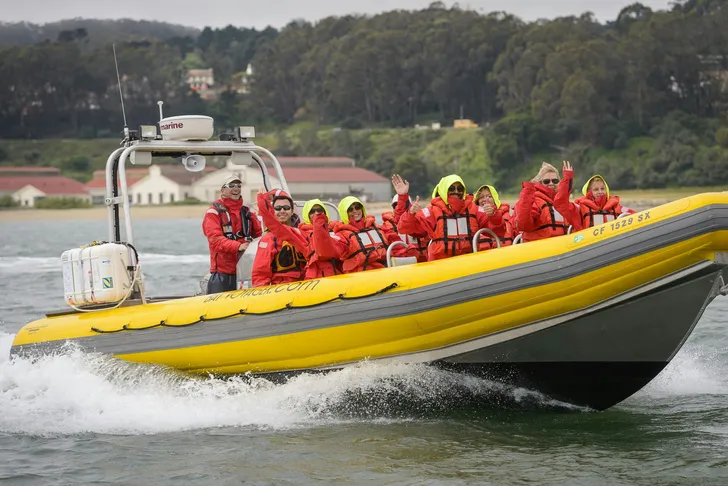 Golden Gate and Bay Bridges Speedboat Tour
